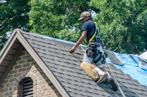 Best Gutter Installation and Roofing  in USA